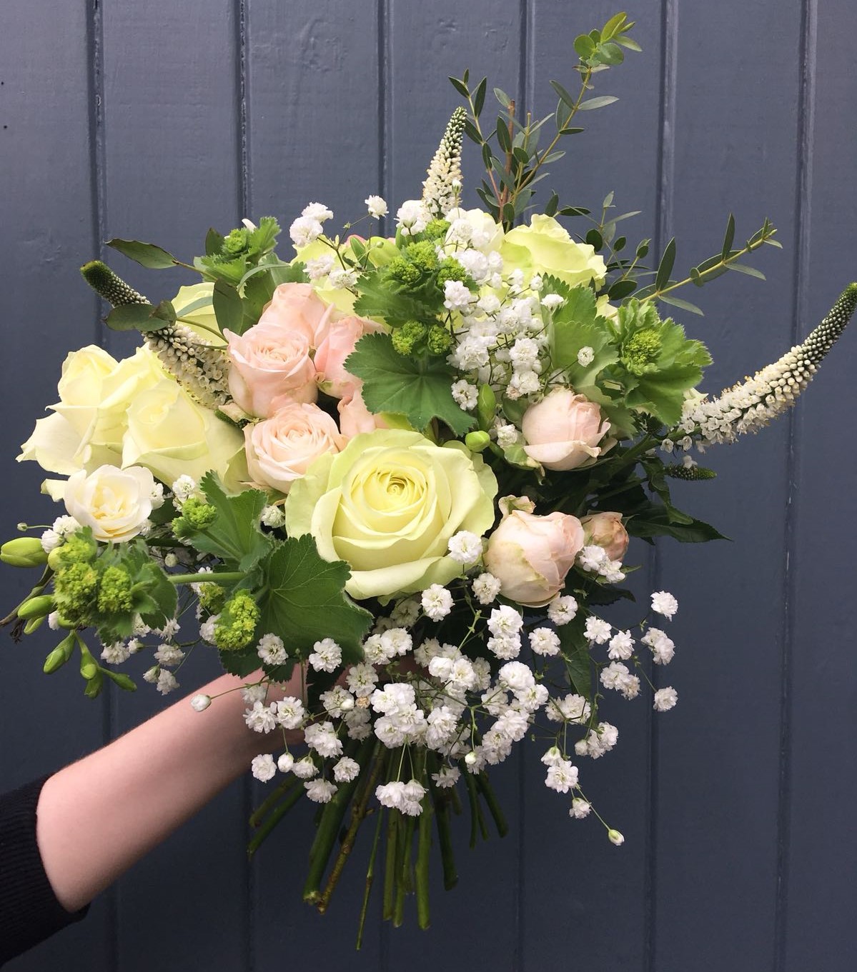 Brides bouquet with pink and cream roses, gypsophila, and white veronica